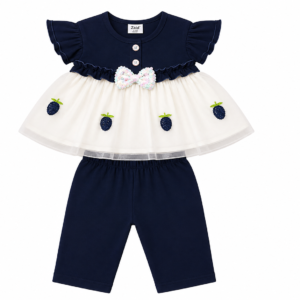 Blueberry Baby Frock Suit